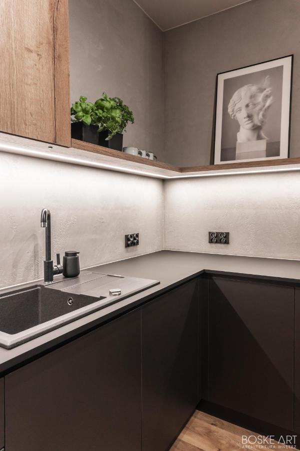 Stylowy Apartament W Centrum Poznania エクステリア 写真